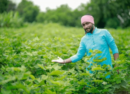 Farmers First: Rural Empowerment & Organic Farming